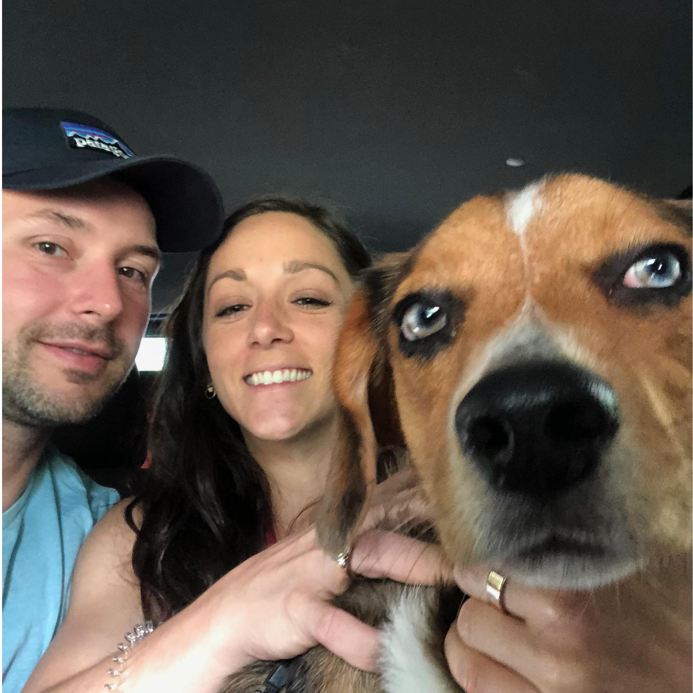 Photobomb by Boone