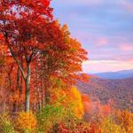 Shenandoah National Park
