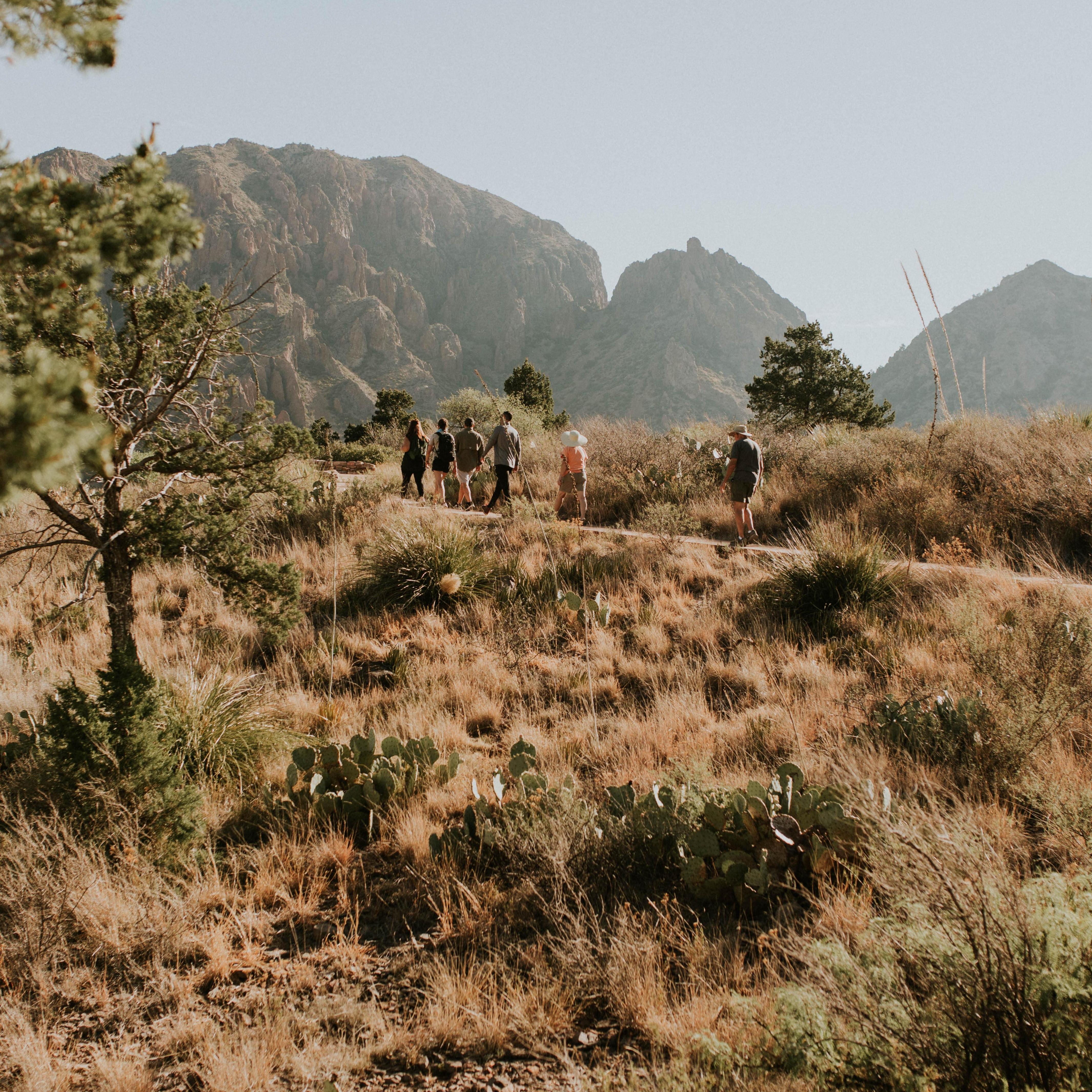 Our pre-wedding hike in Big Bend! We found out from a park ranger that we were getting married on Big Bend's birthday!