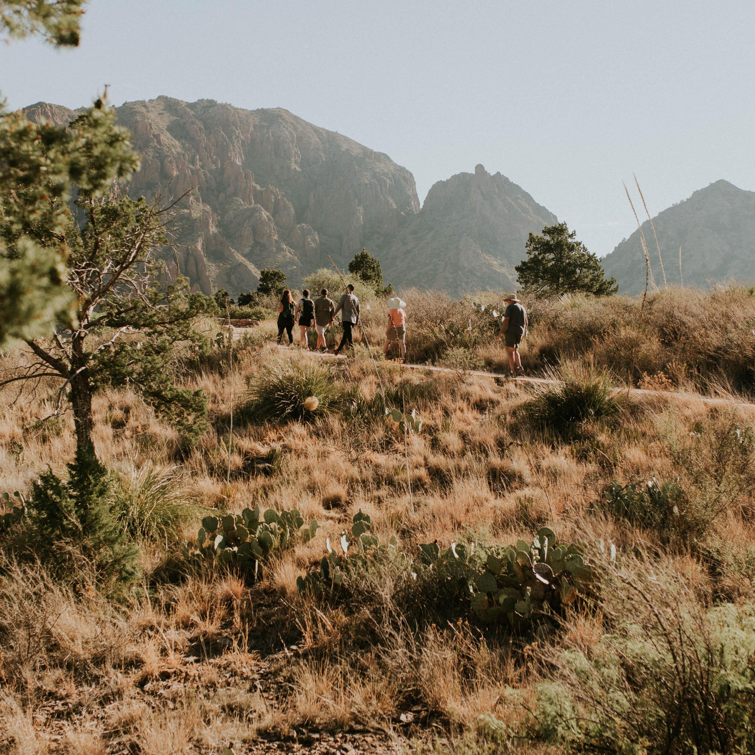 Our pre-wedding hike in Big Bend! We found out from a park ranger that we were getting married on Big Bend's birthday!