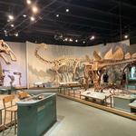 Denver Museum of Nature & Science