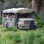 Babcock Ranch Eco Tours