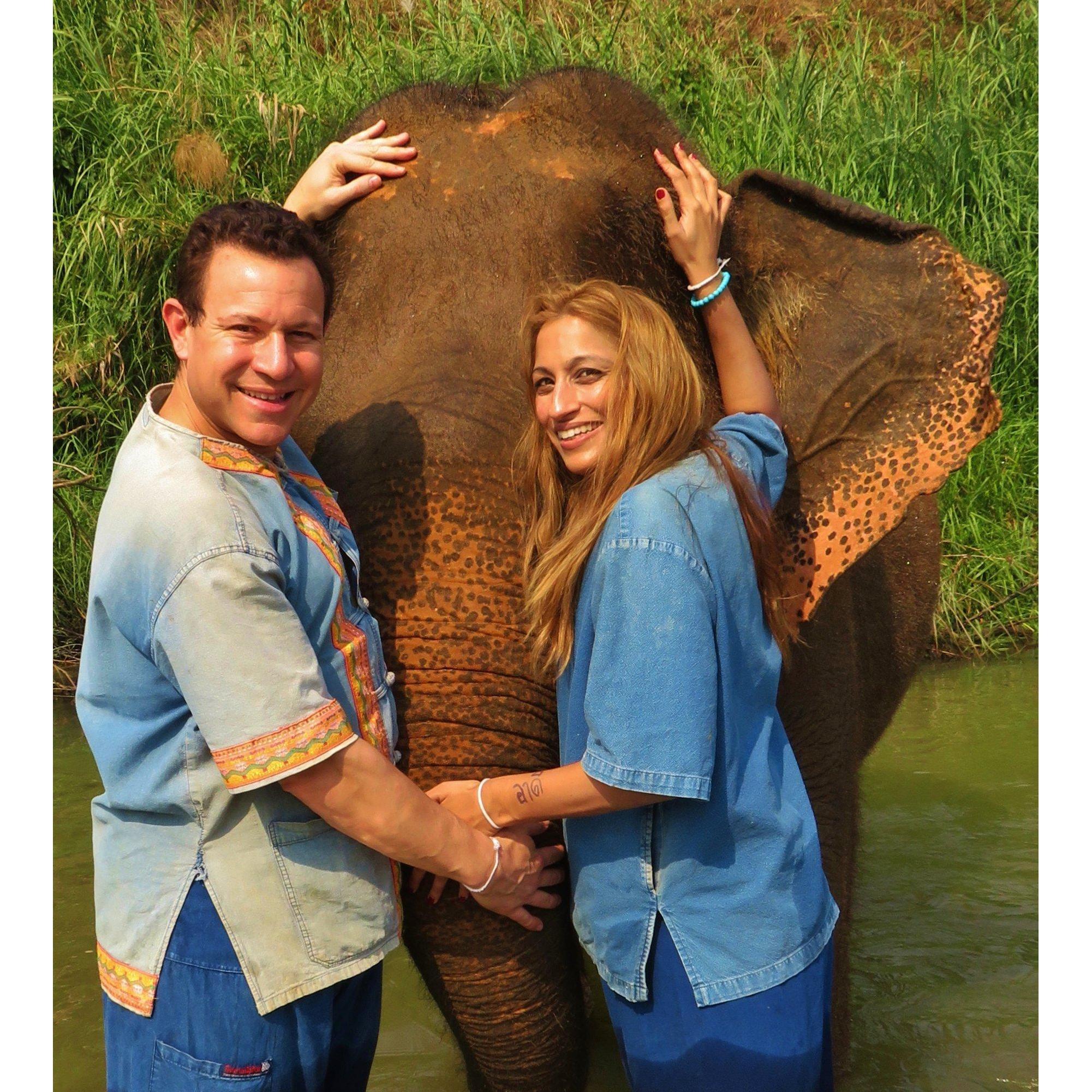 Enjoying elephants in Thailand.