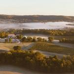 Noboleis Vineyards