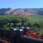 Navarro Vineyards & Winery