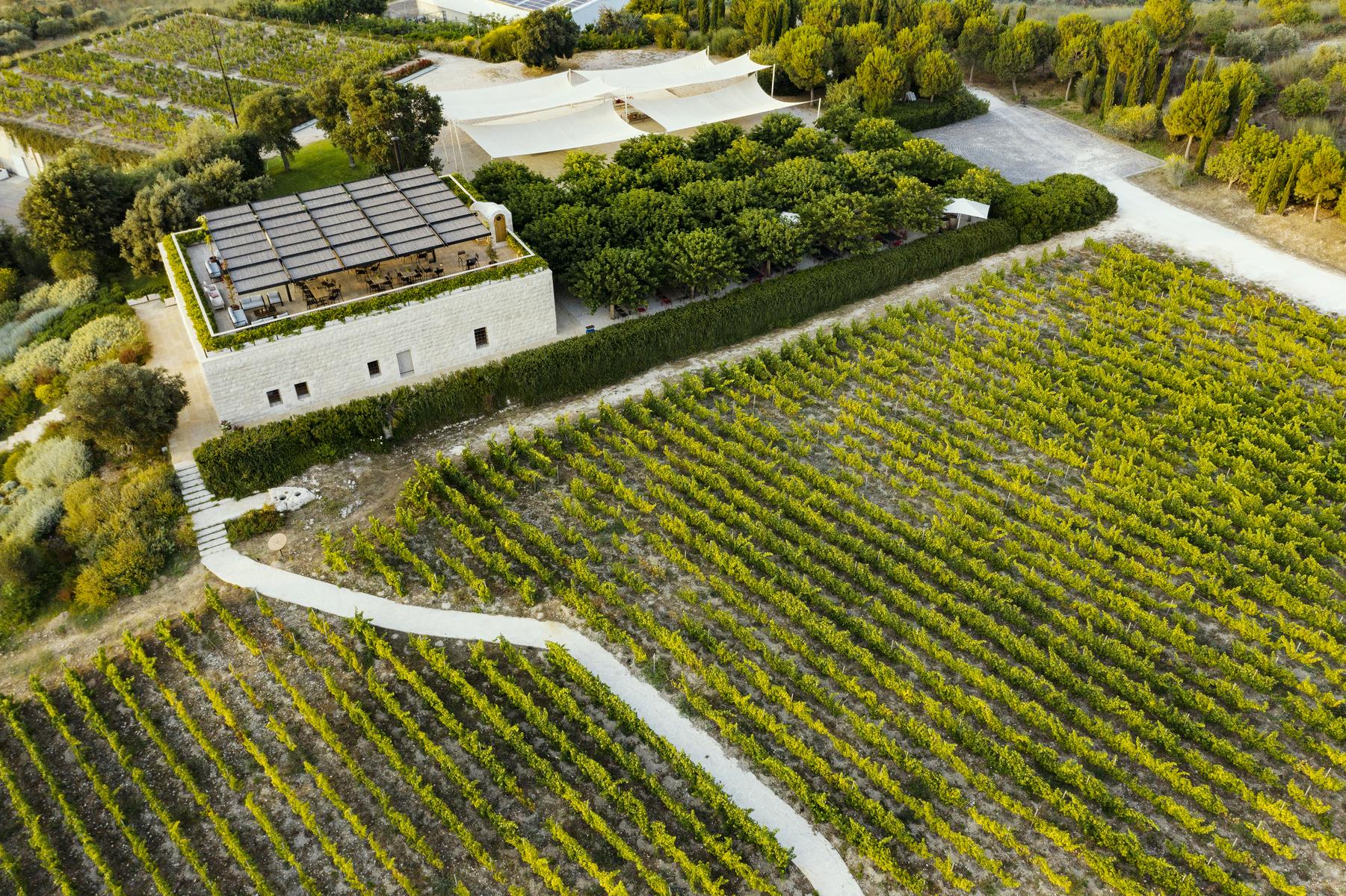 The Wedding Website of Melissa Cayralat and Flip Cuijpers