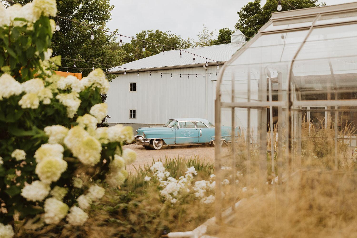 The Wedding Website of Hannah Williams and Frank D’Antonio