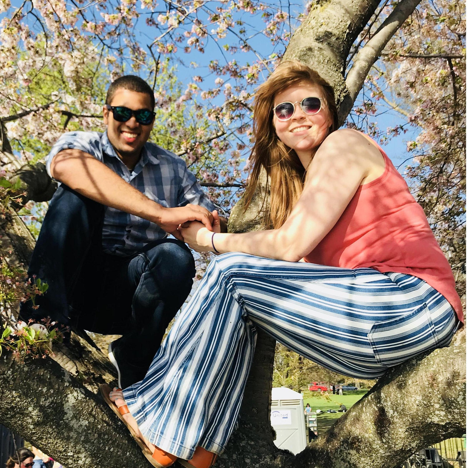 Cherry blossom festival in DC, we climbed a tree.