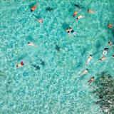 Marinarium Marine Park Snorkel Excursion (Half Day)