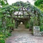 Coker Arboretum