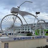 D R Bradley's Bike Rentals