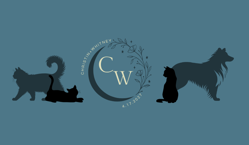 Footer image