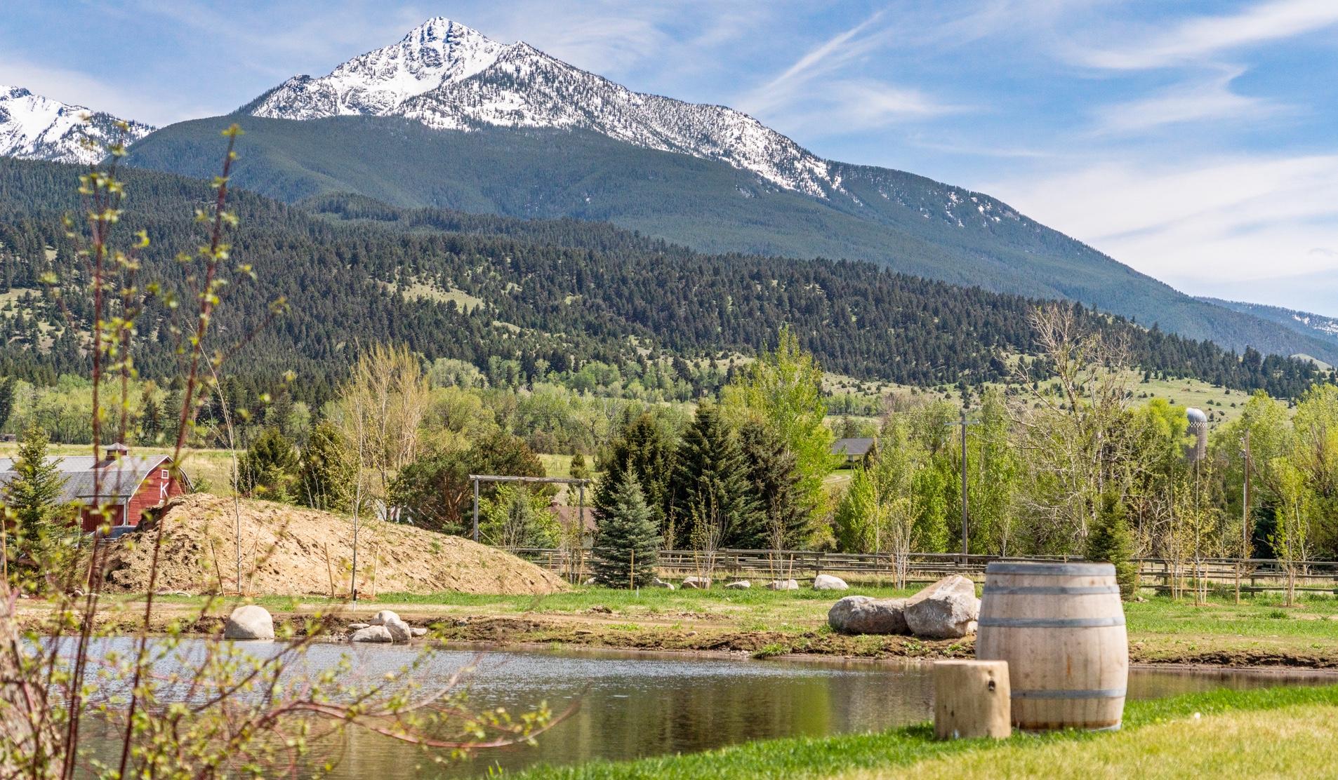 The Wedding Website of Alexa Vitale and Hans van Warmerdam