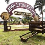 Appleton Rum Tour