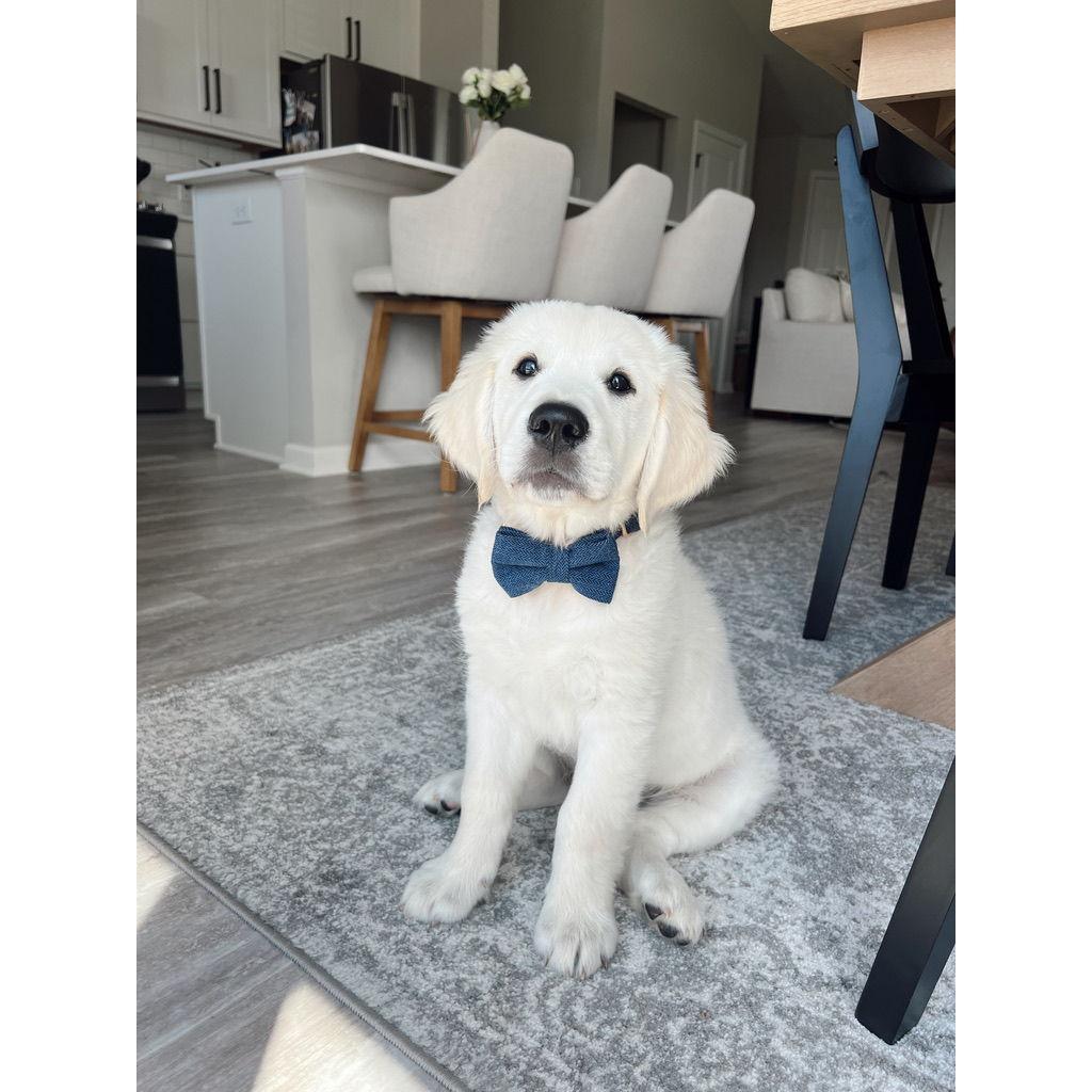 Our perfect bestie :)