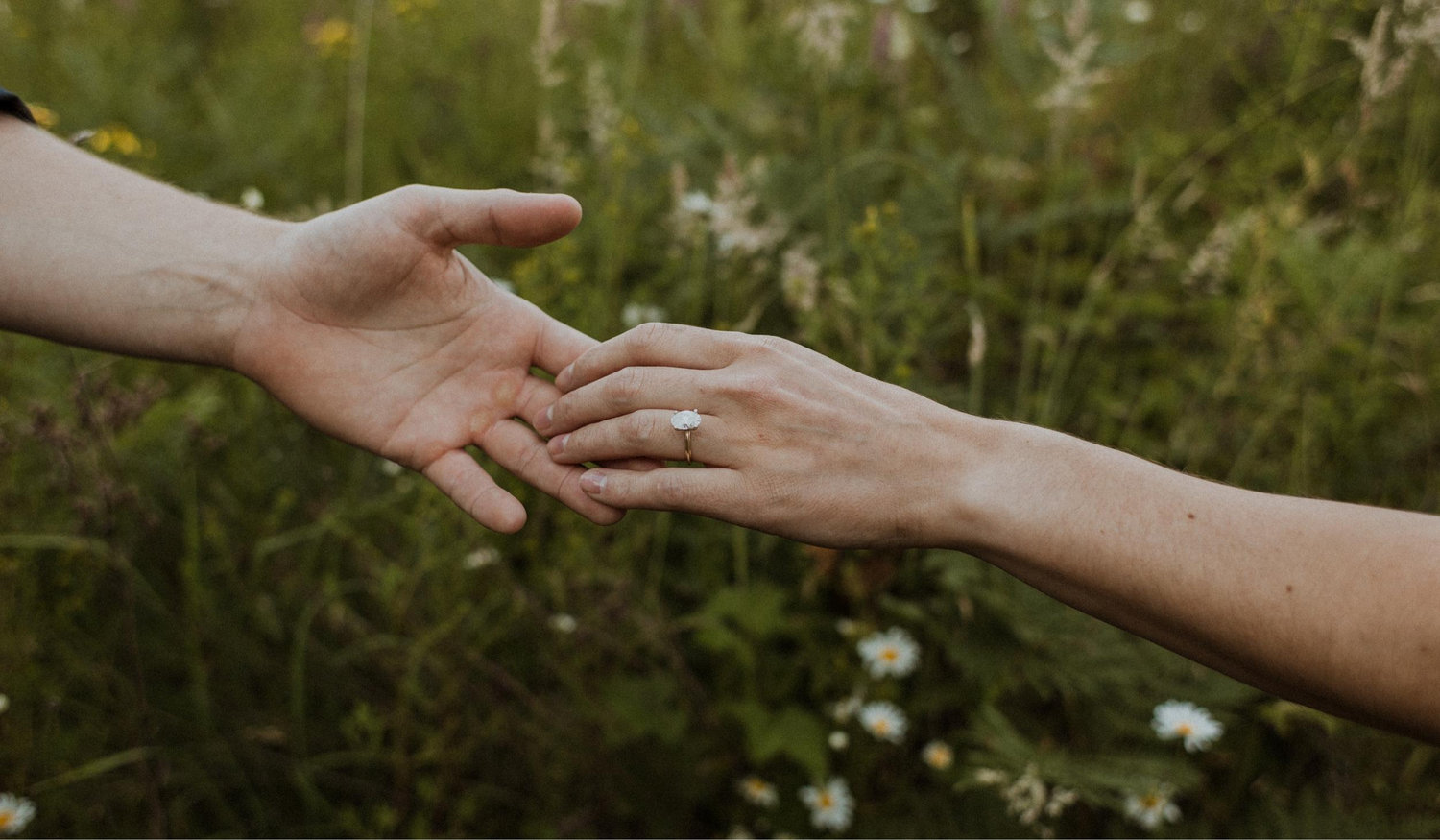The Wedding Website of Nicole Manuel and Zach Williams