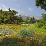 Santa Barbara Botanic Garden