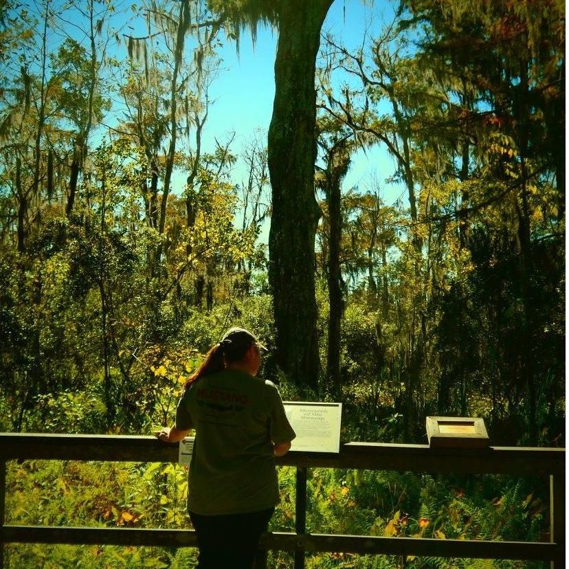 Jean Lafitte state park, Louisiana