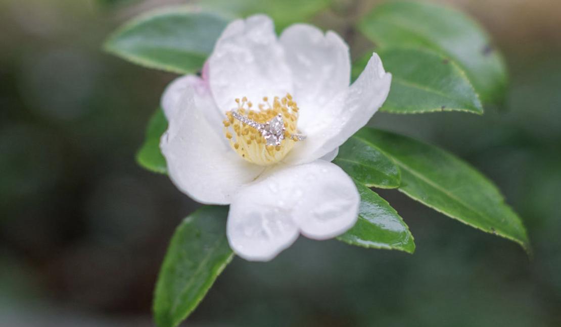 The Wedding Website of Kayleigh Feder and Jason Krassowski