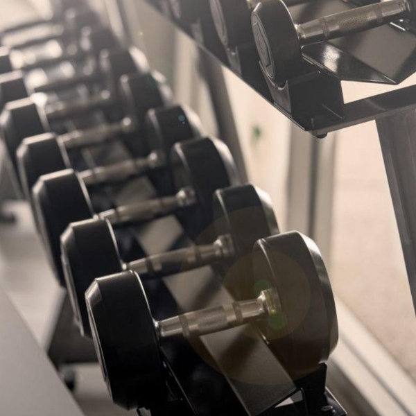 Gym equipment