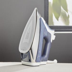 Rowenta ® Promaster Iron