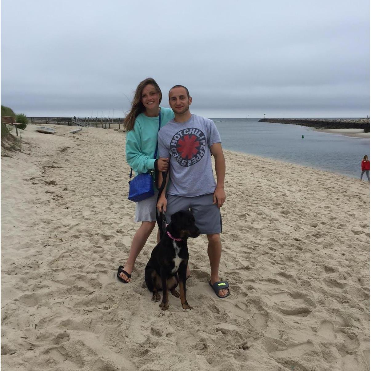 Cape Cod