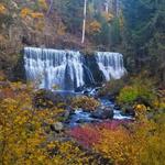McCloud River Falls Trailhead