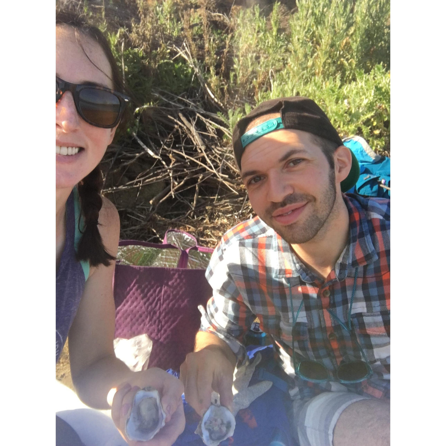 Oysters in Pt. Reyes