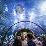 Audubon Aquarium of the Americas