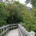 Duck Lake Trail