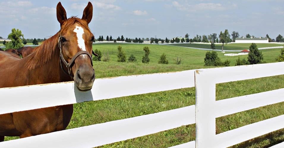 The Wedding Website of Claire Hager and Conrad Bandoroff