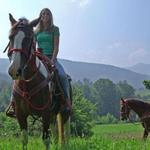 Stables At Brasstown Valley