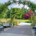 Owen Rose Garden