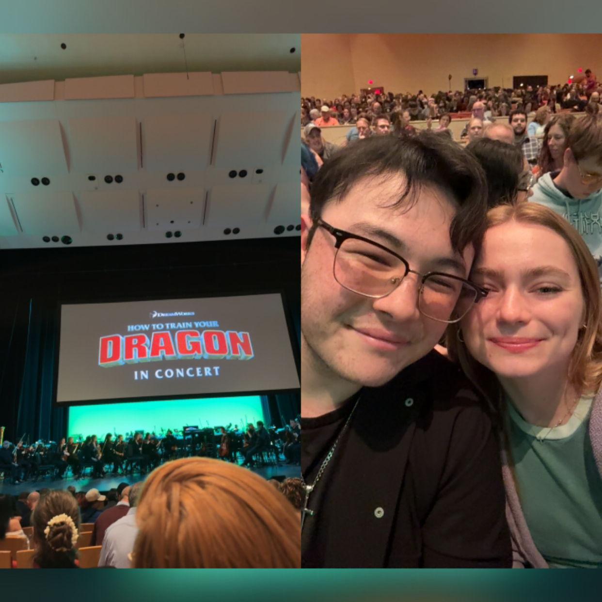 We saw "How to Train your Dragon" live in concert