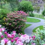 Jenkins Arboretum & Gardens