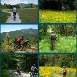 Adventure Center at Waterville Valley