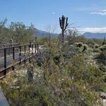 McDowell Sonoran Preserve