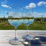 Palmer Vineyards