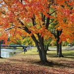 Beaver Fork Lake