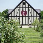 Virtue Cider