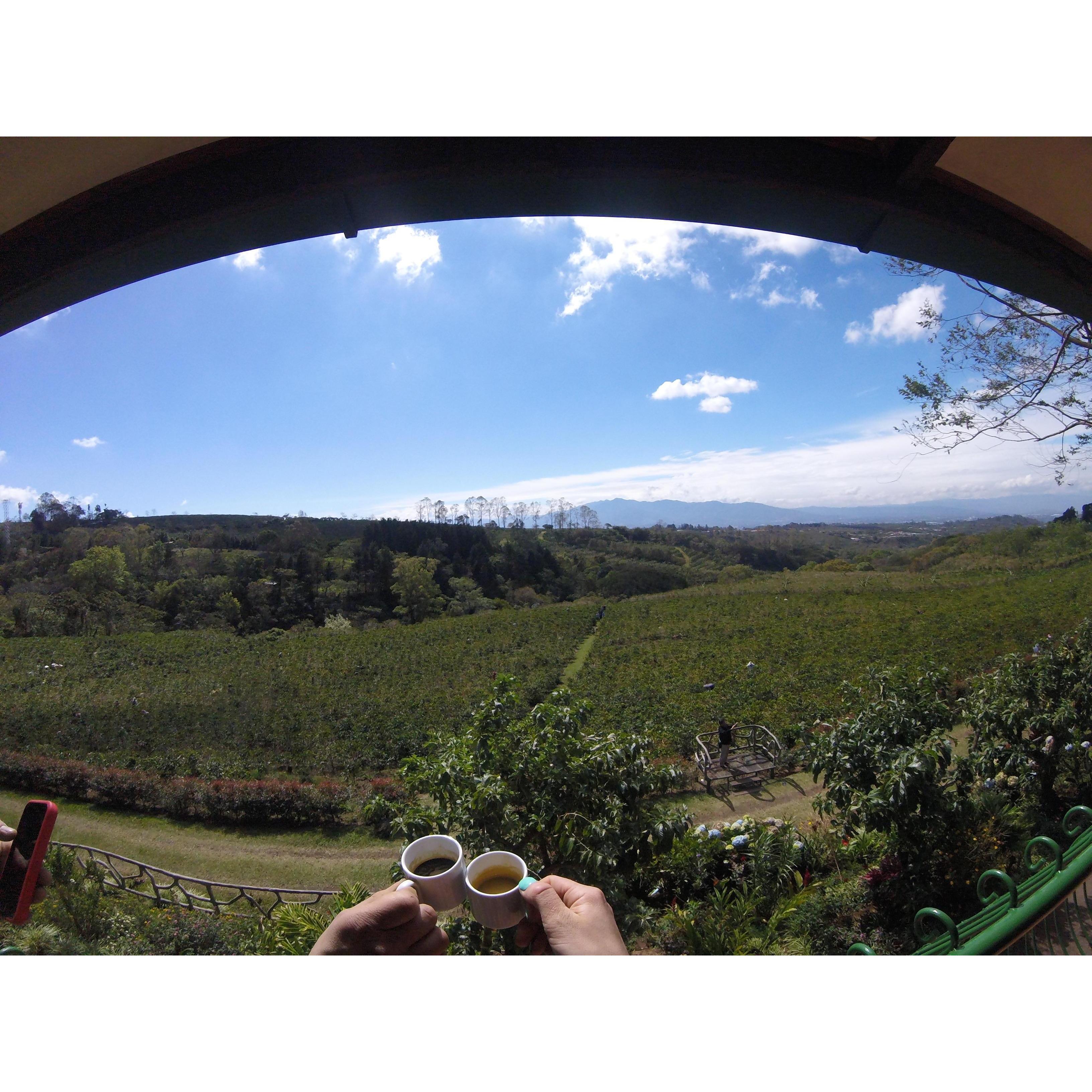 Exploring a coffee farm in Costa Rica