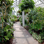 The Key West Butterfly and Nature Conservatory