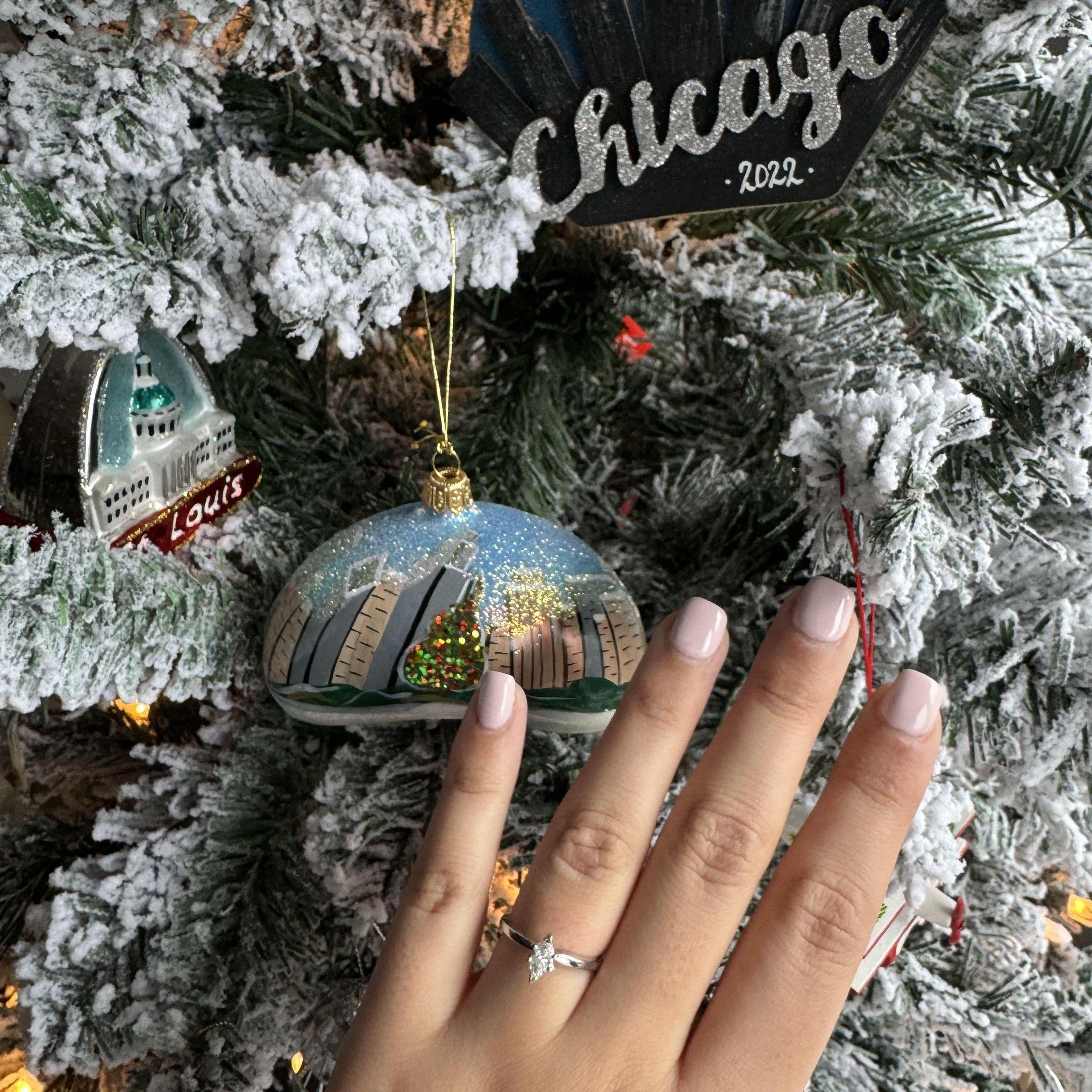 Engagement in Chicago!