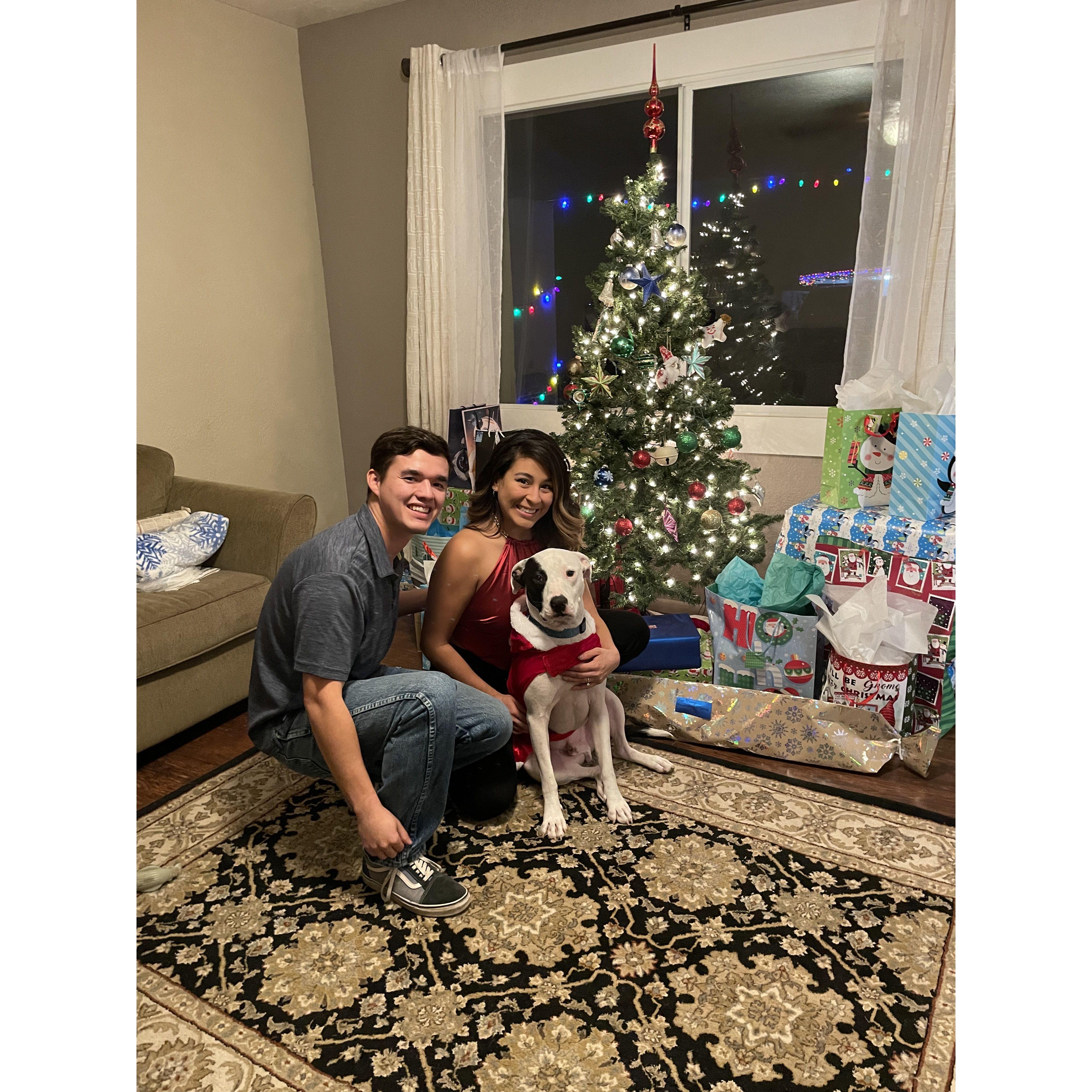 Sprocket's first Christmas! 