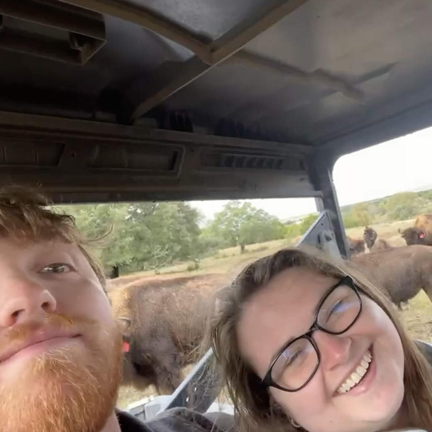 My first Bison sighting in Lometa Texas