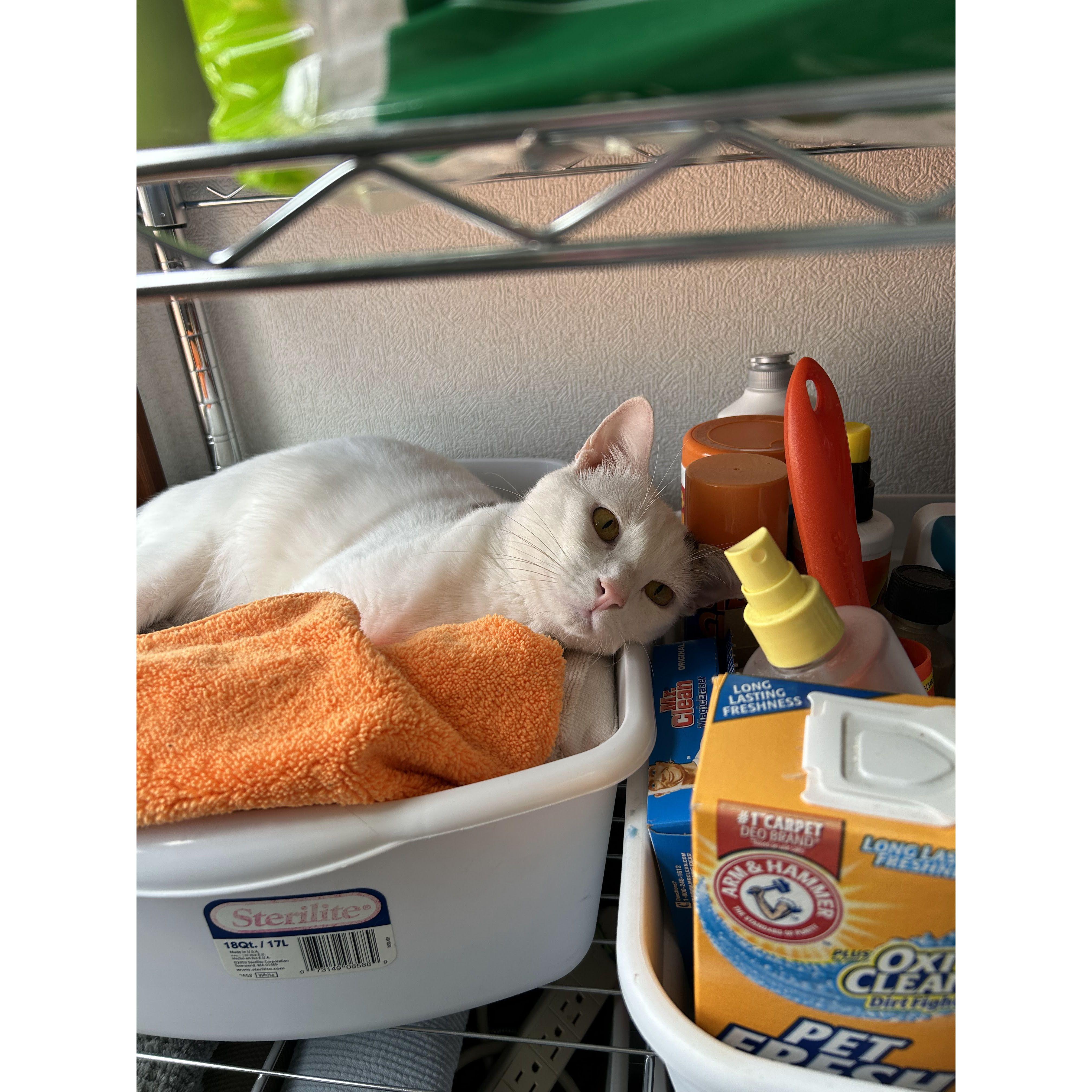 to sleep