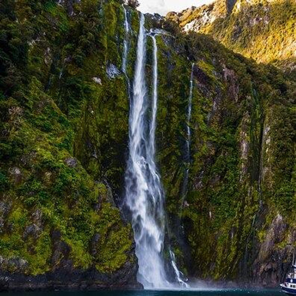 2 night stay in Milford Sound