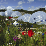 The Eden Project