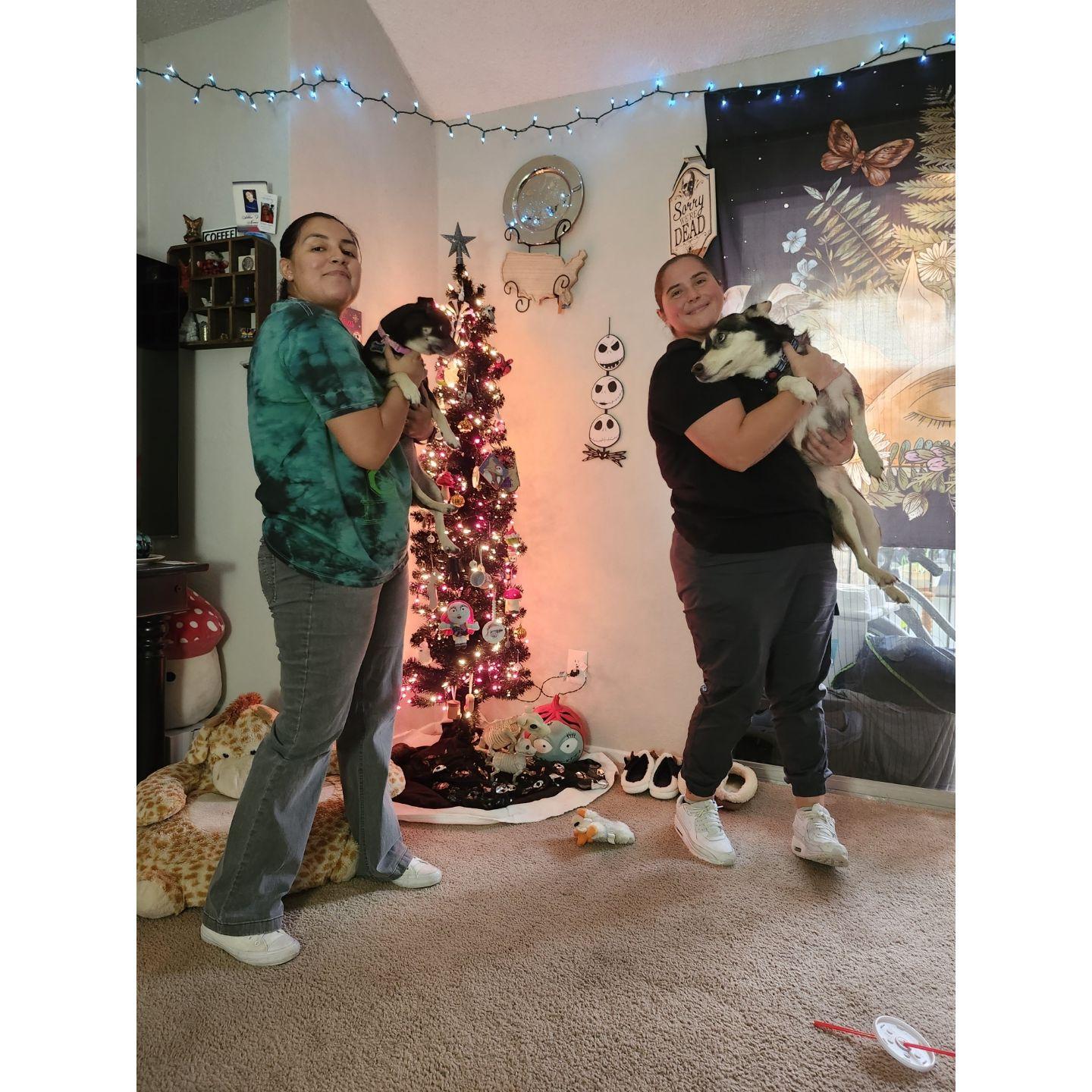 Our pups :)