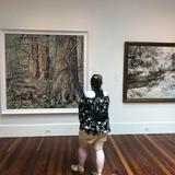 Woodmere Art Museum